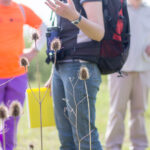 Les oiseaux de la Cité de la Faisanderie