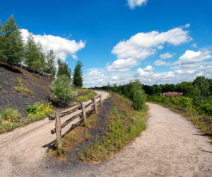 Apéro-rencontre au bois d&rsquo;Epinoy